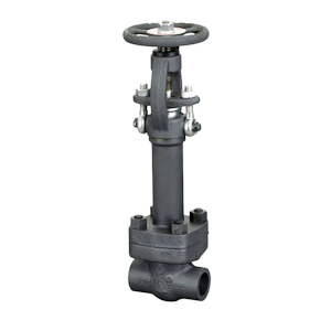 Cryogenic gate valve