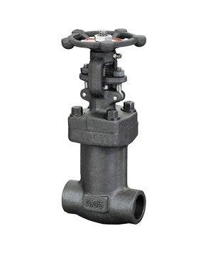 Forged steel bellows globe valve